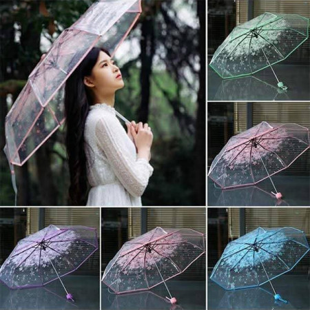 Transfarent Umbrella Auto on flower design-Any colour