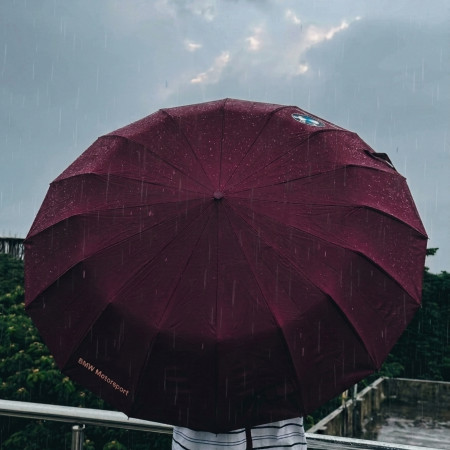 Umbrella Auto on-off 12 Ribs -Blue